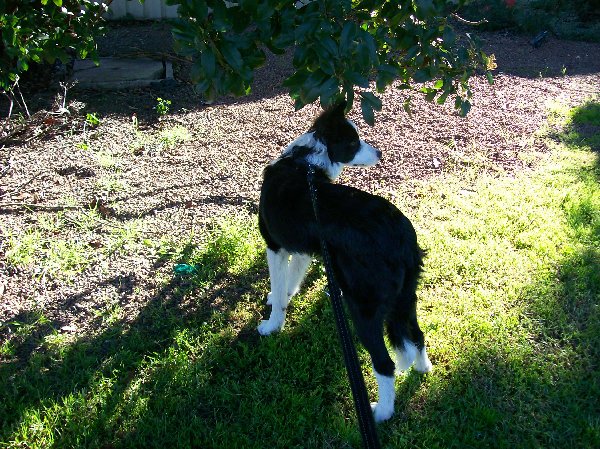Delta at Kempsey