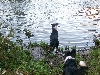 charlie Delta water