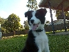 delta 14 weeks