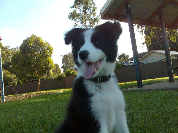 delta 14 weeks