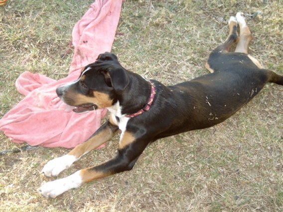 Maddie 6 months