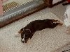 maddie 7 weeks