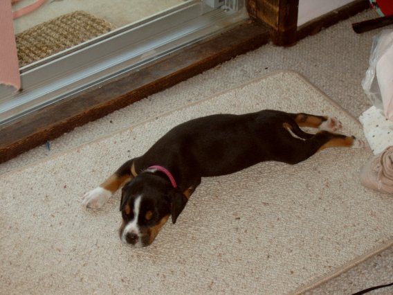 maddie 7 weeks