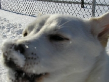 I love snow!!!