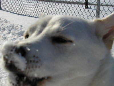 I love snow!!!