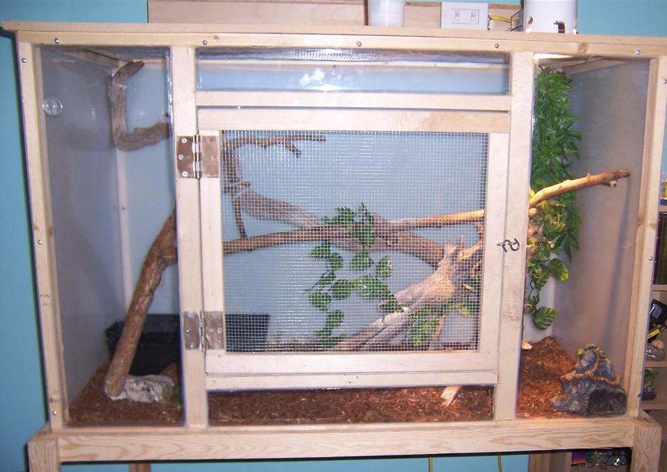 lizards cage