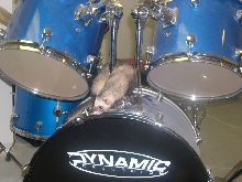 Bubbles on the Drums