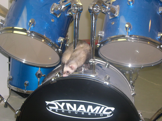 Bubbles on the Drums