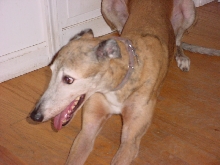 Ottie 9-6-03
