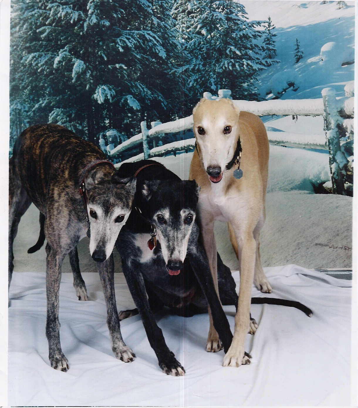 Christmas 2002