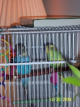 Skye & Pucker's new digs