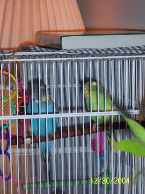 Skye & Pucker's new digs