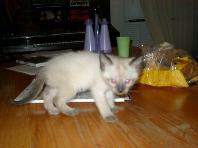 What should be the name