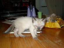 Can you help me with a name?