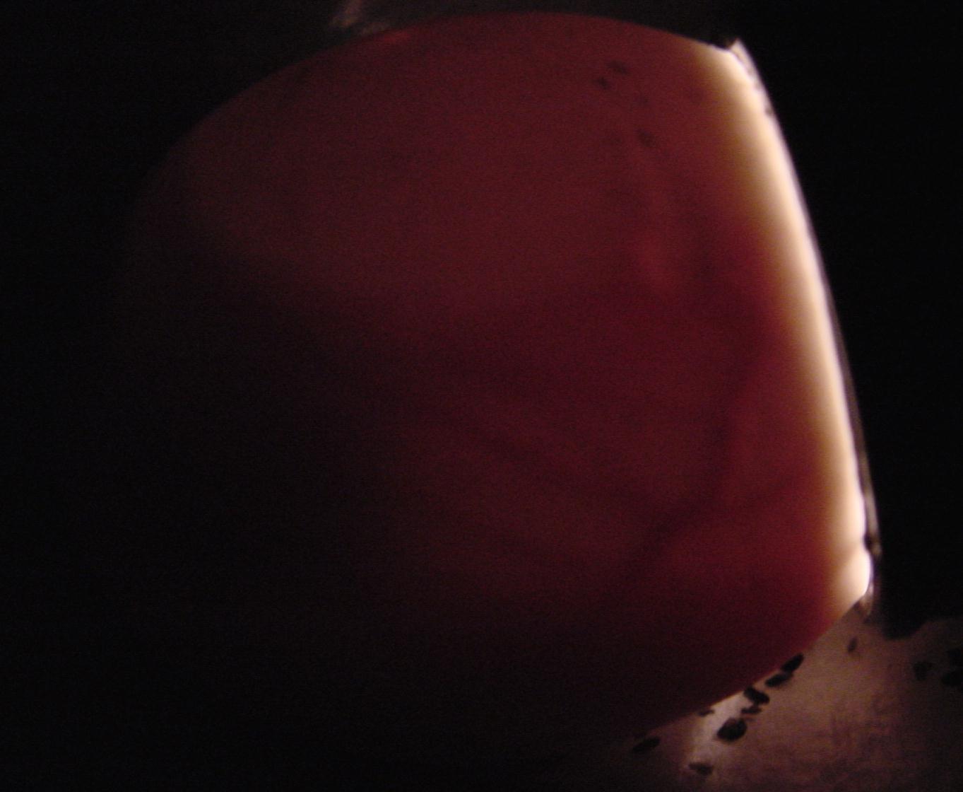 P. a. arachnoides development