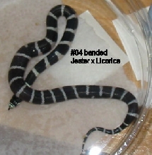 04a