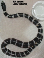 05a