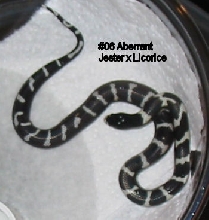 06a
