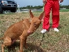 rescue PH mom 2