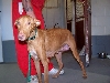 rescued PH mom 1