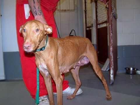 rescued PH mom 1