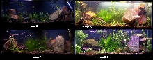 progress of first tank