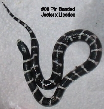 08a