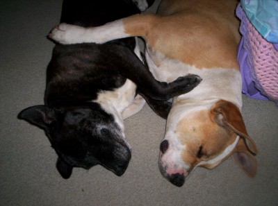cuddles
