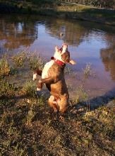 Dam time :)