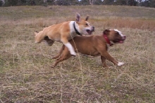 LOOK OUT !!!!!