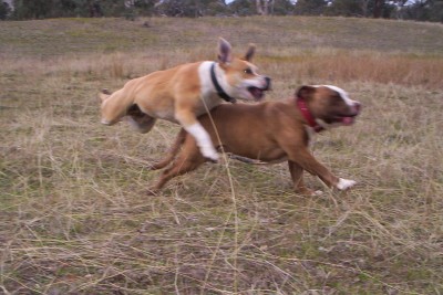 LOOK OUT !!!!!