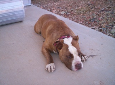 Dozer all worn out