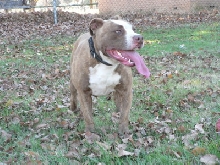 Dozer @ the park :)