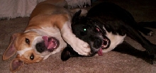 Boof & Paris