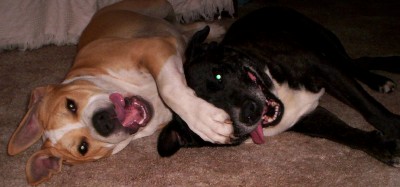 Boof & Paris