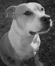 My Girl