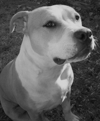 My Girl