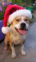 X - Mas Time !!!
