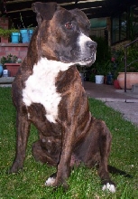 Trix