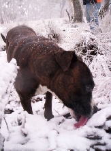 Ummm yummy snow