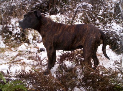 Trix in the snow