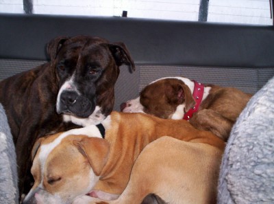 On the way home from the snow trip