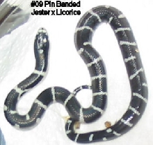 09a
