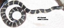 13a
