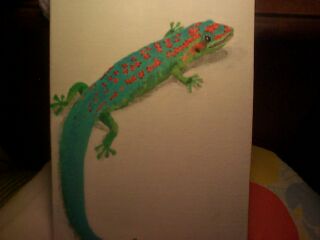 Day Gecko