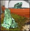 95% green