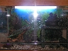 My Viv!