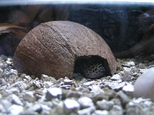 Snooze!