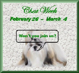 Anim Chat Week bubble