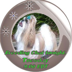 Breeding Chat tonight